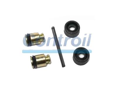 Reparo cilindro roda c 1447