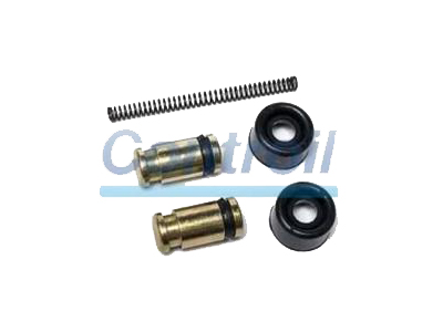 Reparo Cilindro Roda C-1494