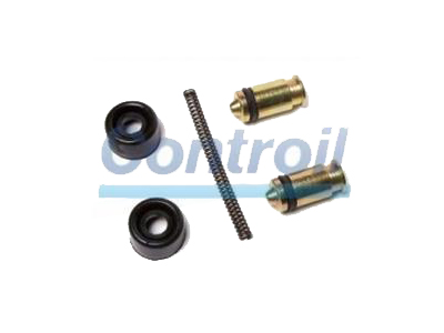 Reparo cilindro roda c 1519