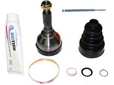 Homocinetica corcel belina del rey pampa