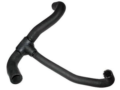 Manga passat santana