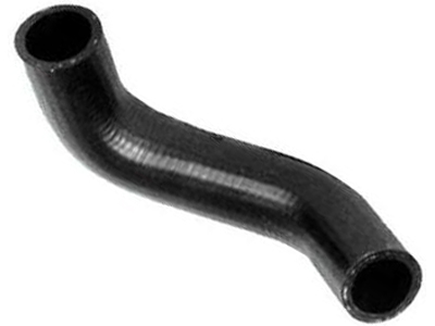 Manga corcel del rey pampa 1ddf1822 a3c9 4516 98c5 add4c8b12e3f