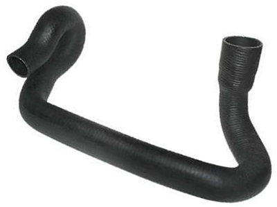 Manga corcel del rey