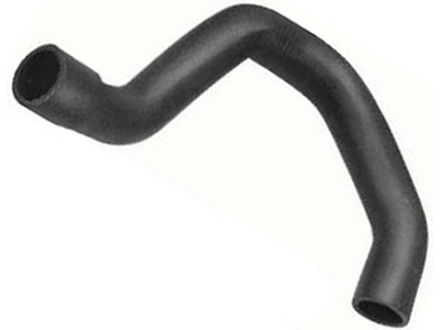 Manga escort verona 1edab5c5 49b2 4b40 ad6e 41394a205daf