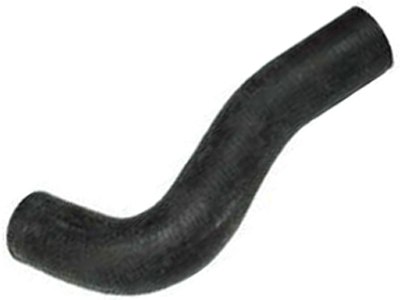 Manga f 1000 9df264ae 4893 44c0 9eef 7363bfb2fb5a