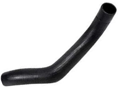 Manga palio ee641433 c3a0 49dc bf3d aef6f135c941