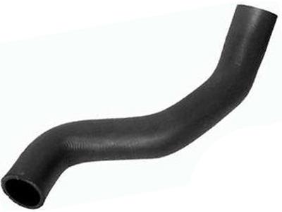 Manga palio 3e156dad 6698 4b48 9031 c4ad476234ac