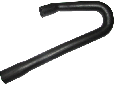 Manga del rey pampa escort