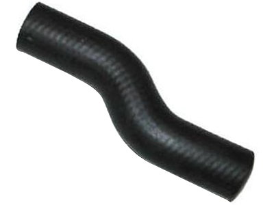 Manga omega 635f19d3 de69 4d51 8c01 16a78db44c99