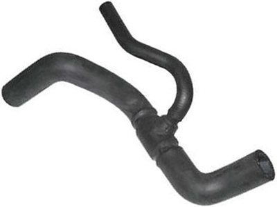 Manga palio 612b30a3 df15 4503 9e32 910ca5e8493e