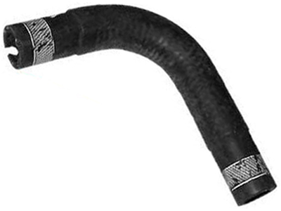 Manga palio 37fd6b8f 07ec 454d bf46 1afadc0524c9