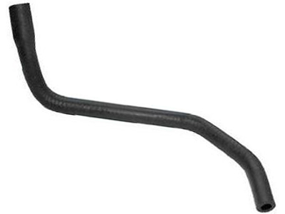 Manga del rey pampa dc1f99e3 f01f 4f2c 969e 80d3ecbfbff3