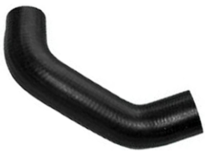 Manga del rey pampa 8d204007 63c1 4e4a b7ac e990f31fc9b0