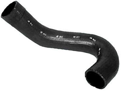 Manga fiesta courier 5417f2de ad00 4e87 acd5 d0d6c3ac6427