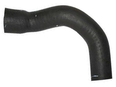 Manga celta d9111edf 1a7f 4b2d a2e6 a5d670d072cf