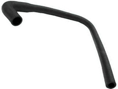 Manga escort verona apollo versailles