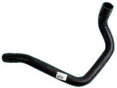 Manga focus 046bbb36 6a62 46e1 83df 81071977a7b9