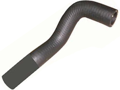 Manga palio idea f4d9d9fb 7e04 4b6f a395 1db665139389