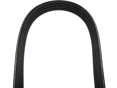 Correia 4pks0875 4pk0875 elastica