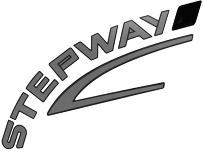 Adesivo Stepway Mala Sandero /10