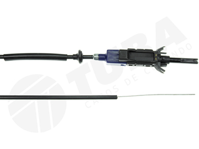 Cabo afog escort cht 1 6 86 96 e verona cht 1 6 92