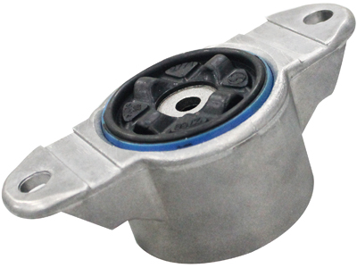 Coxim amort tras focus 14