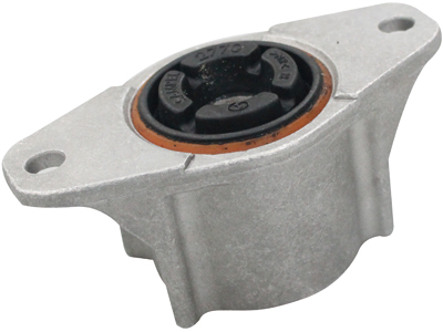 Coxim amort tras focus 09 13