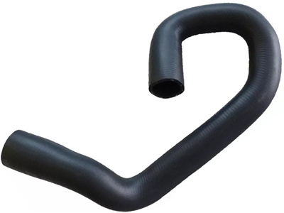 Manga Inferior Radiador Focus 2.0 09/