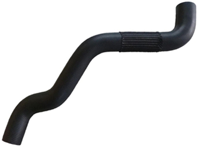 Manga superior radiador focus 2 0 16v 13 duratec