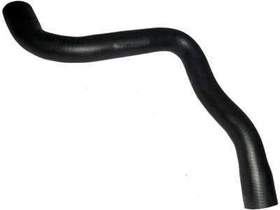 Manga superior radiador focus 2 0 16v 09 13 duratec