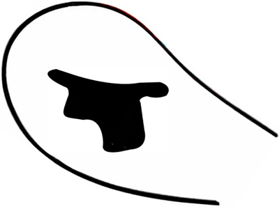 Friso Teto Ecosport /07 LE