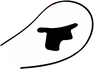 Friso teto ecosport 07 ld