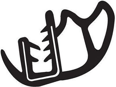 Borracha porta strada 08 3p traseira