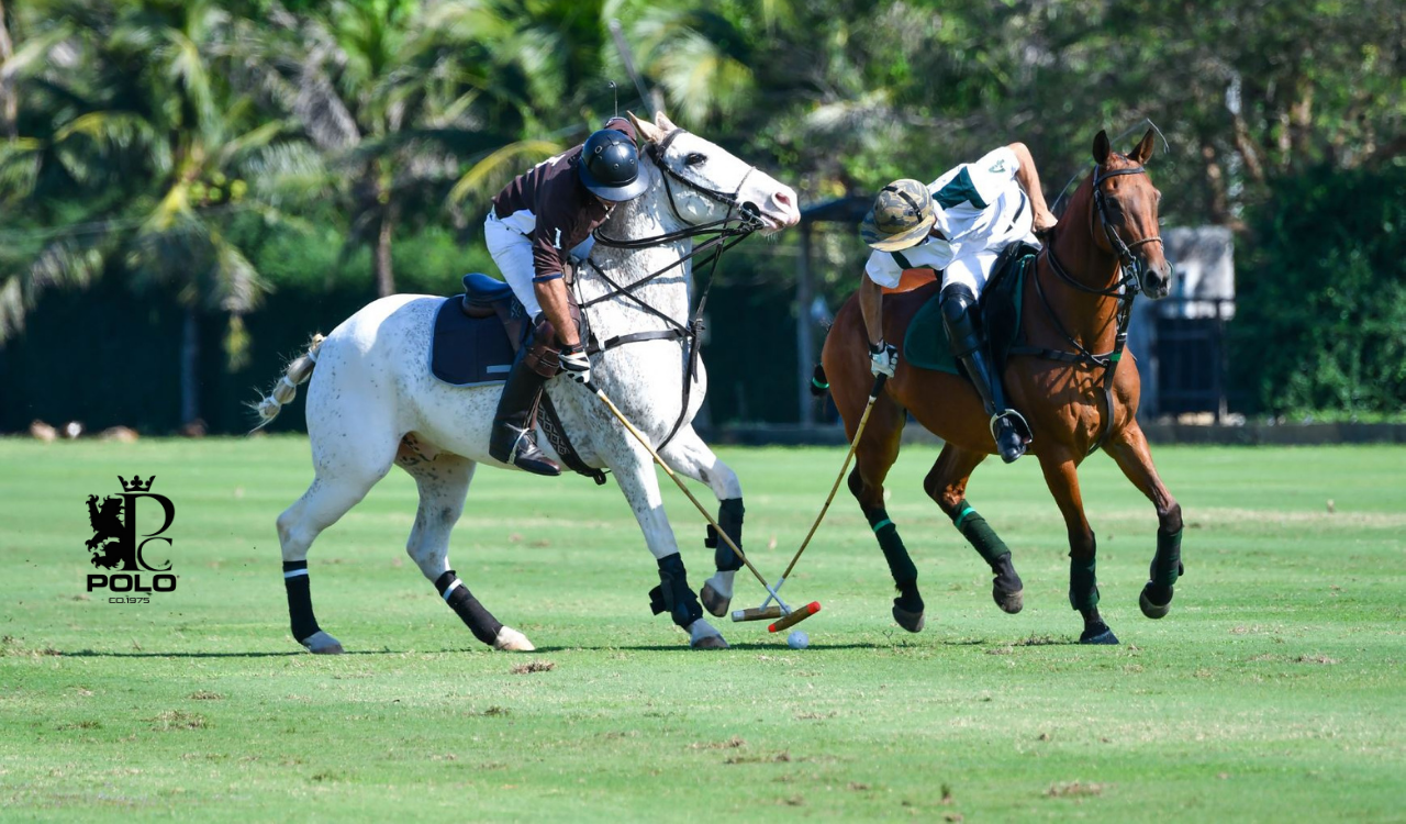 Polo Collection Shopping Conjunto Nacional