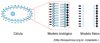Eletrostática-VUNESP-Vestibular-2019 0119a2ff-4c00-4616-abfe-620dfd4c30b4