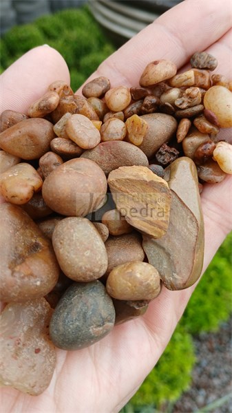 SEIXO COQUINHO ESCURO 0 2KG