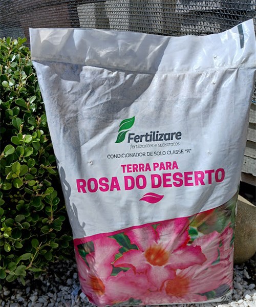 SUBSTRATO ROSA DO DESERTO- 2KG