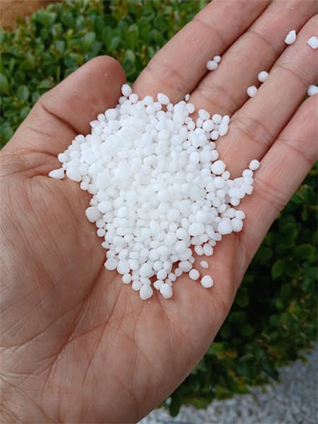 UREIA 1KG
