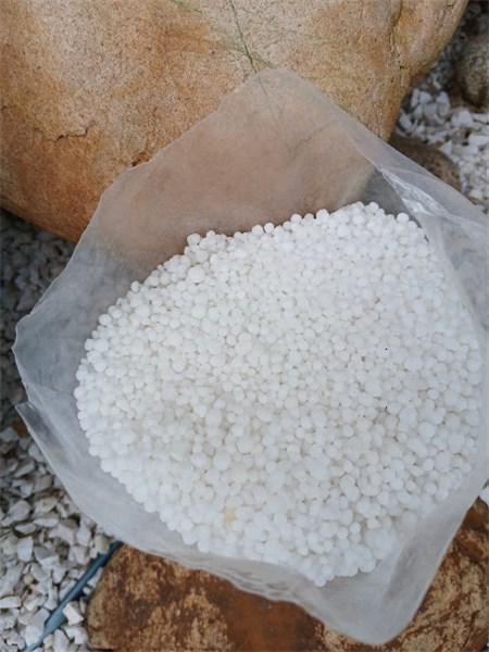 UREIA 1KG