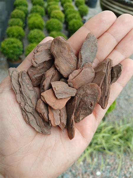 CASCA DE PINUS POLIDA P 40 LITROS
