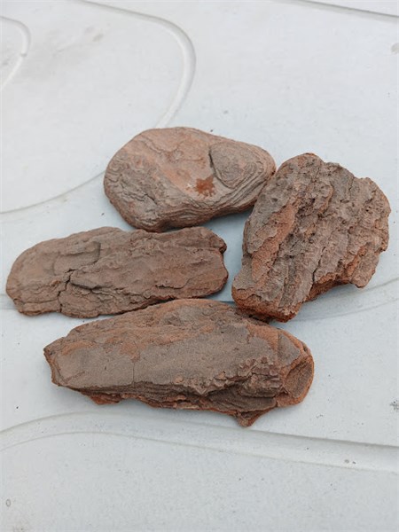 CASCA DE PINUS POLIDA G 40 LITROS