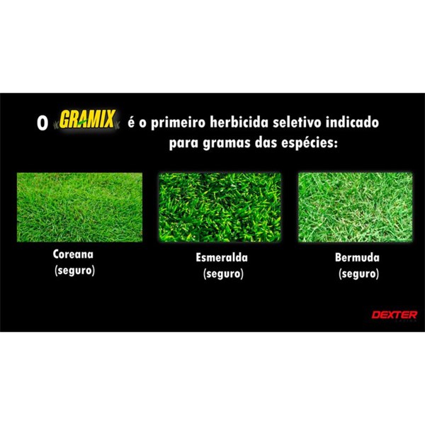 GRAMIX IMAZAPIR 100ml