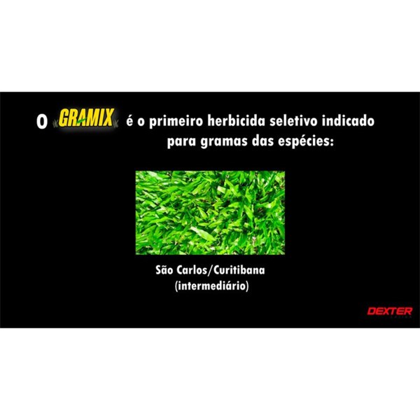 GRAMIX IMAZAPIR 100ml