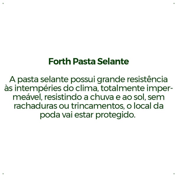 FORTH PASTA SELANTE 20G