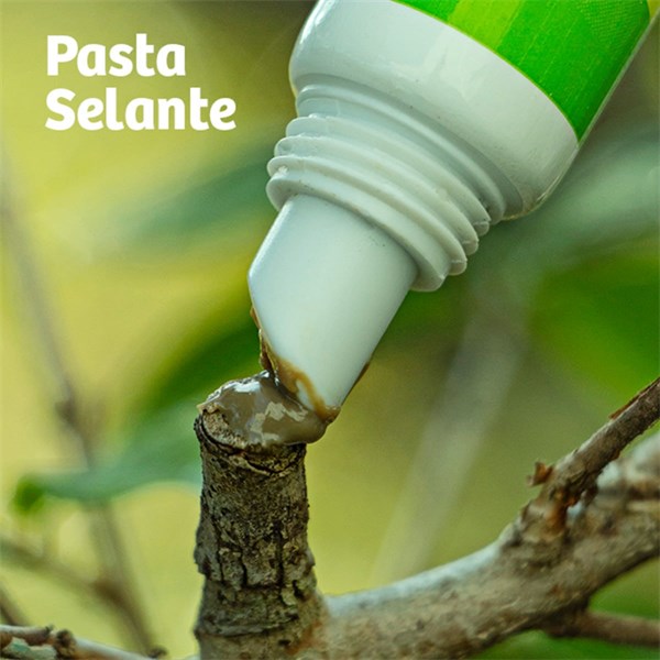 FORTH PASTA SELANTE 20G