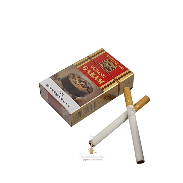CIGARRO GUDANG GARAM
