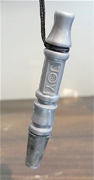 PITEIRA HIGIENICA JOY POP