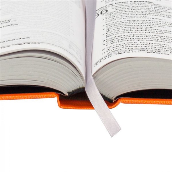 Biblia Letra Grande Capa Dura Leao Vazado Laranja NAA