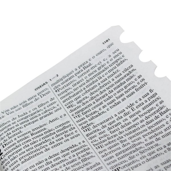 Biblia Letra Grande Pequena Indice e Ziper Azul ARC