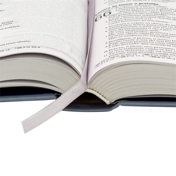 Biblia Letra Grande Capa Dura Leao Vazada Azul NAA